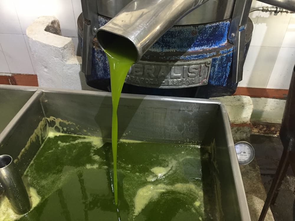 aceite de oliva virgen extra sin filtrar, aceite sin filtrar, comprar aceite de oliva, aceite de oliva